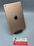 iPad Mini 5