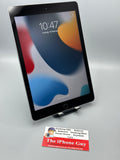 iPad 6